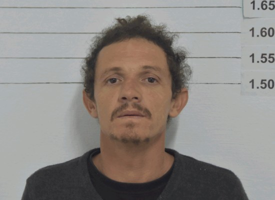 Dos hombres encarcelados por hurto